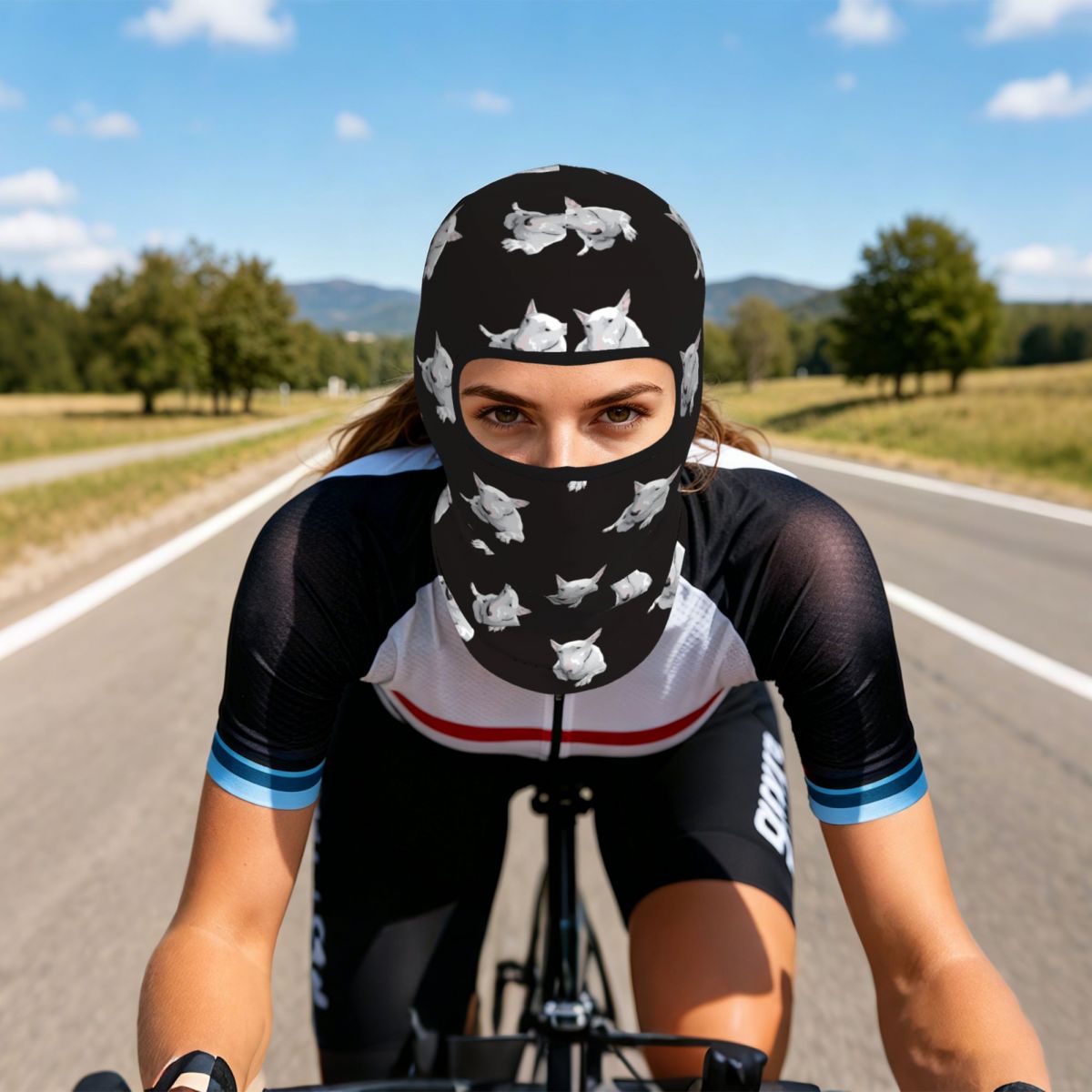 잉글리시 불 테리어 통기성 얇은 발라클라바 풀 페이스  - Fishing Mask Sun Protection 리뷰 및 가격